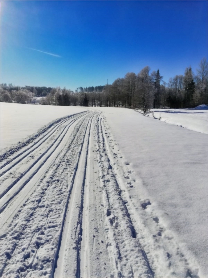 Winterimpressionen rund um den Frankenwaldsee