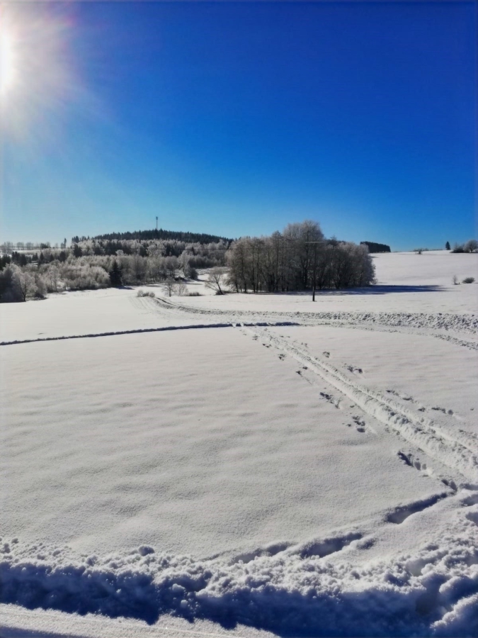 Winterimpressionen rund um den Frankenwaldsee