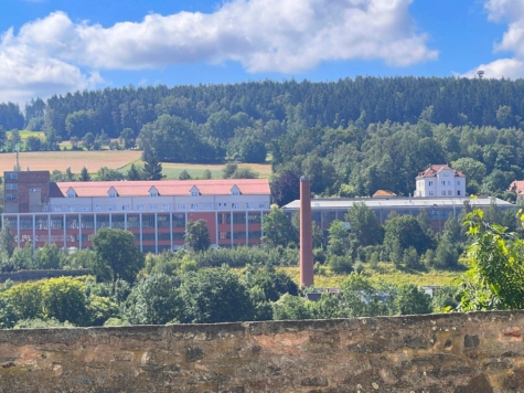 Lukratives Renditeobjekt – ideal für Lager & Produktion – ehem. Porzellanfabrik (ca. 18.646 m² Gewerbefl.) – Grundst. 15.807 m² – aufwändig (energetisch) teilsaniert mit Blockheizkraftwerk, 95659 Arzberg, Halle zum Kauf